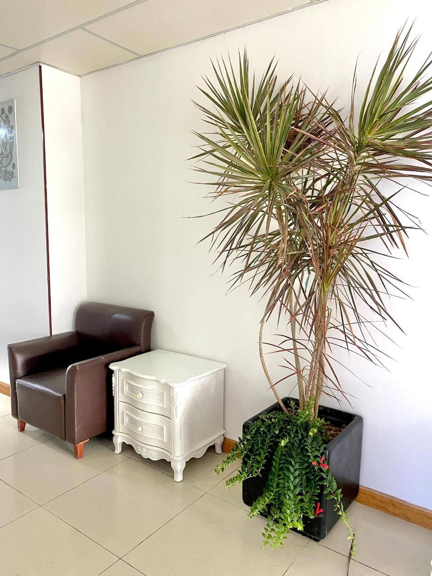 Zozo House - Homestay Bai Sau Vũng Tàu Eksteriør billede